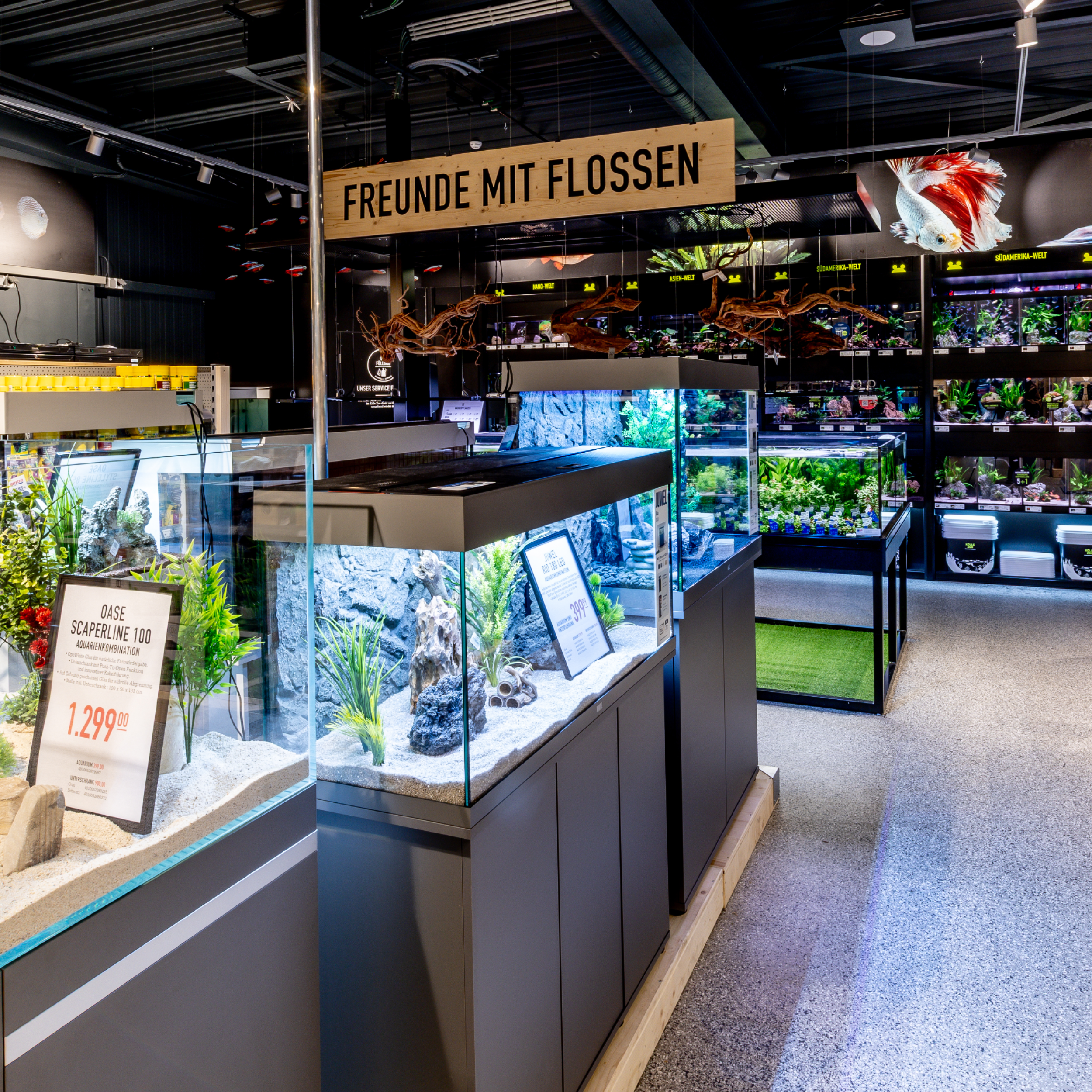 Kw48 Neueroeffnung Stvith Impressionen 1200x1200 7